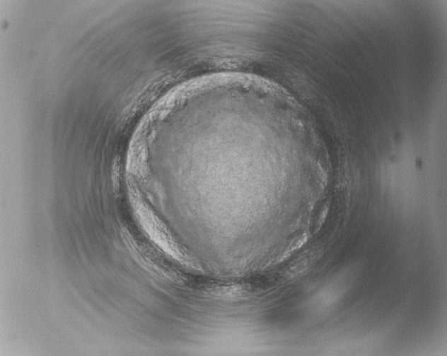 X0000051880646200507151913