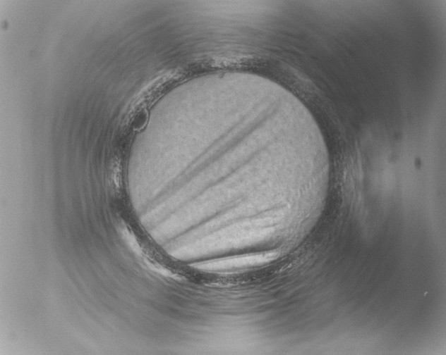 X0000051880648200507151913