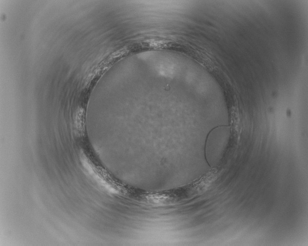 X0000051880650200507151913