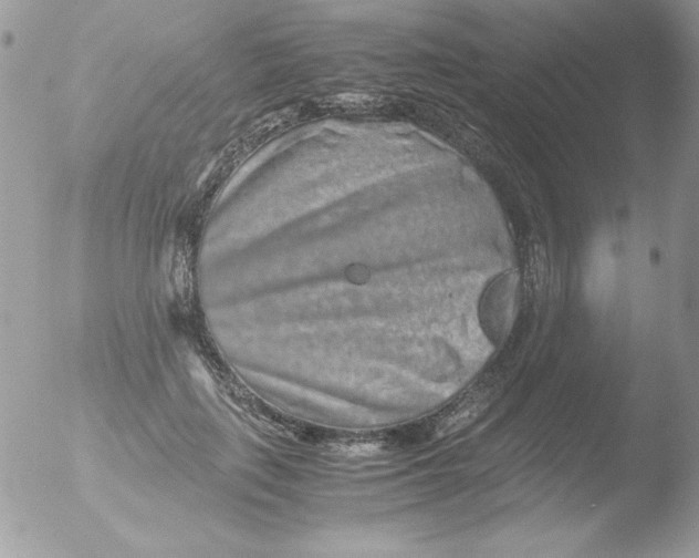 X0000051880651200507151913