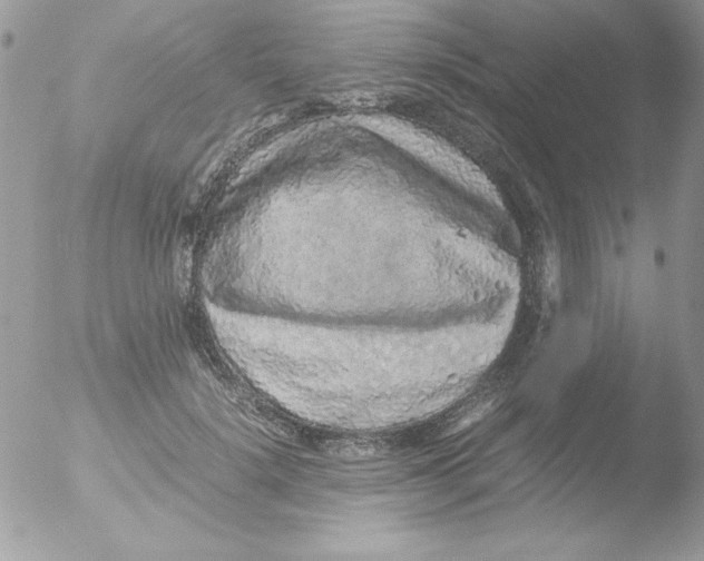 X0000051880652200507151913