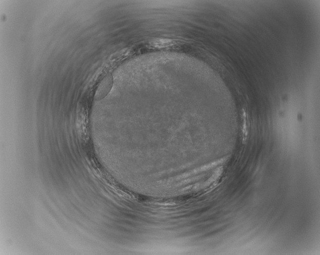 X0000051880653200507151914