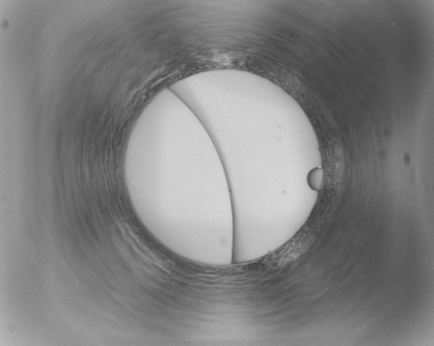 X0000051880656200507151914