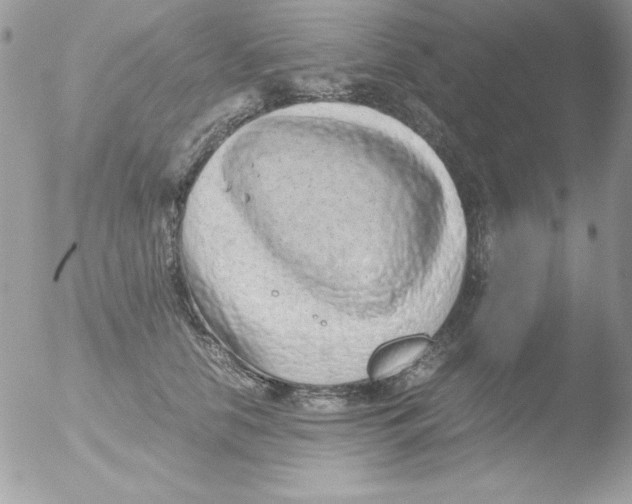 X0000051880658200507151914