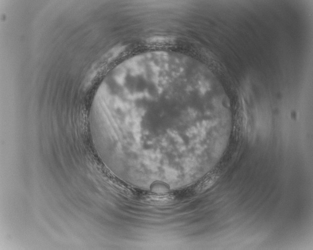 X0000051880659200507151914