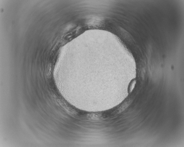 X0000051880660200507151914