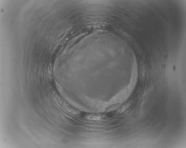 X0000051880661200507151914