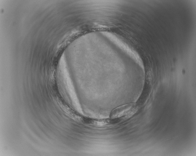 X0000051880662200507151914