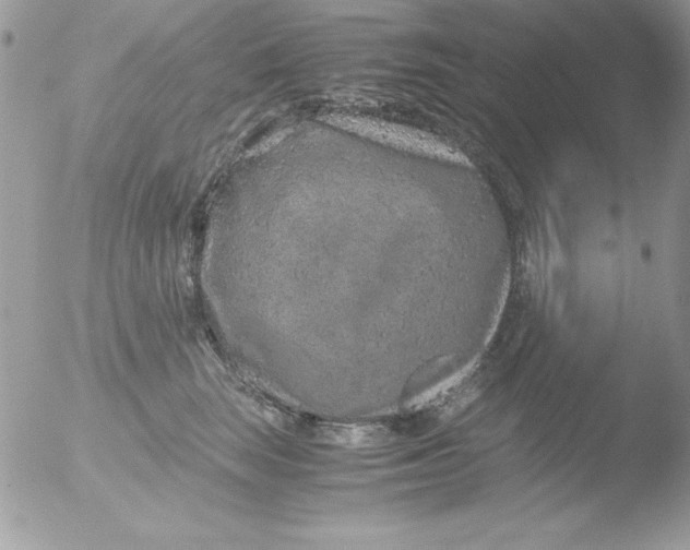 X0000051880663200507151914