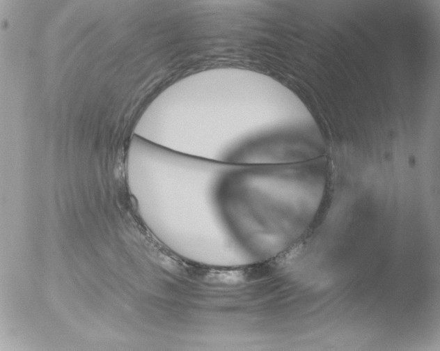 X0000051880665200507151914