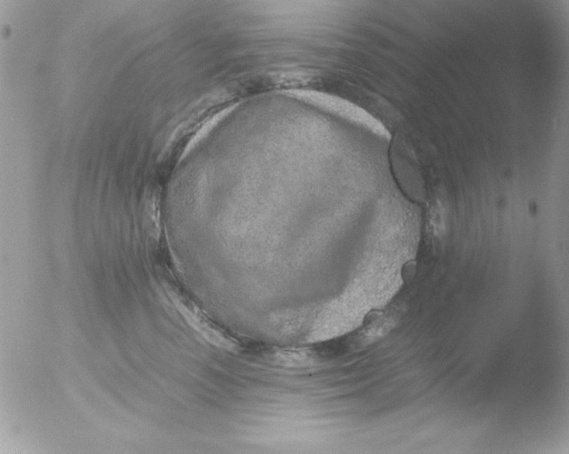 X0000051880666200507151914