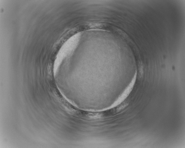 X0000051880667200507151914