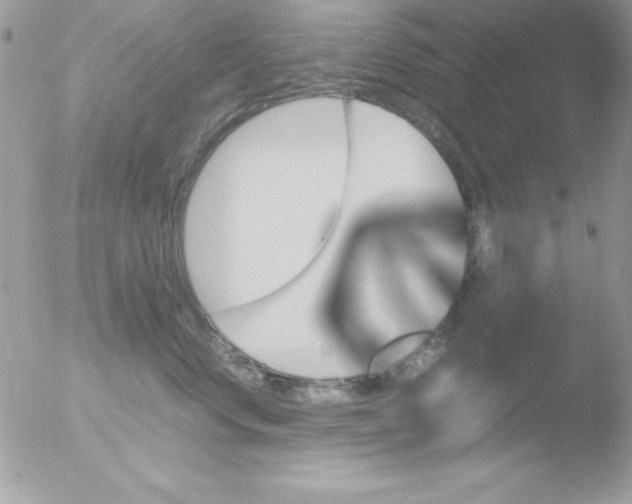 X0000051880668200507151914