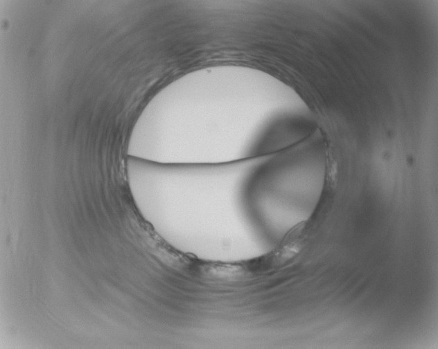 X0000051880669200507151914