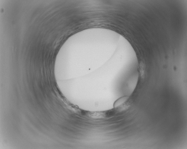 X0000051880670200507151914