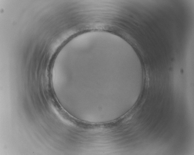 X0000051880674200507151913