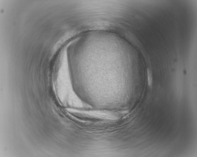 X0000051880675200507151913