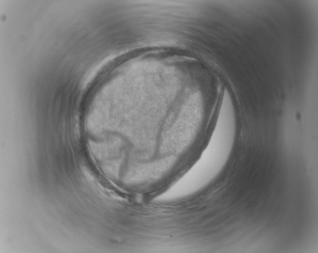 X0000051880676200507151913