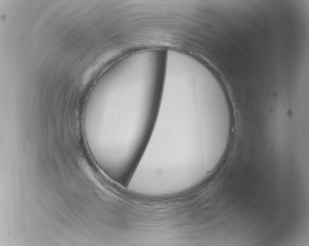 X0000051880677200507151913