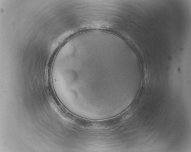 X0000051880678200507151913