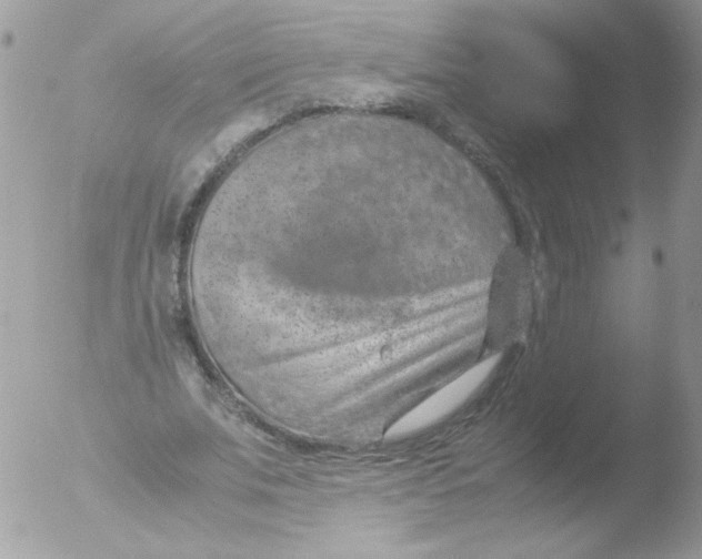 X0000051880679200507151913