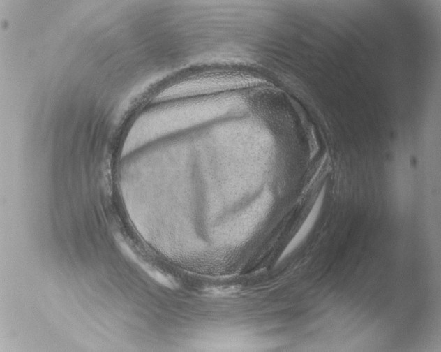 X0000051880680200507151913