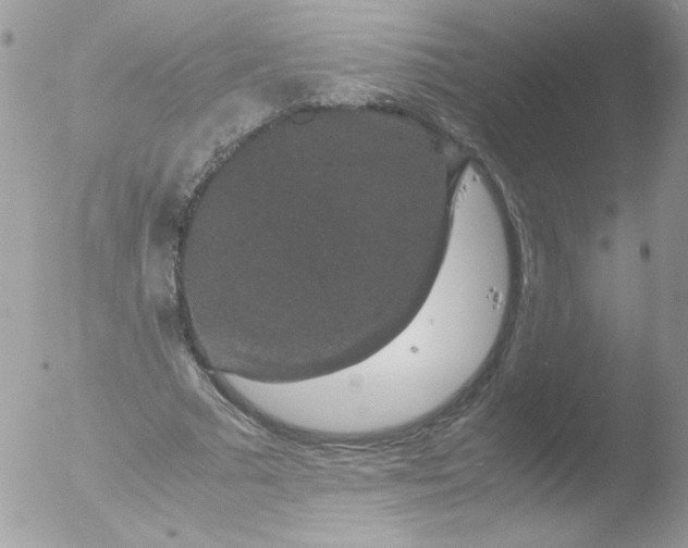 X0000051880681200507151913