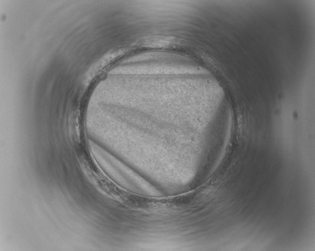 X0000051880682200507151913