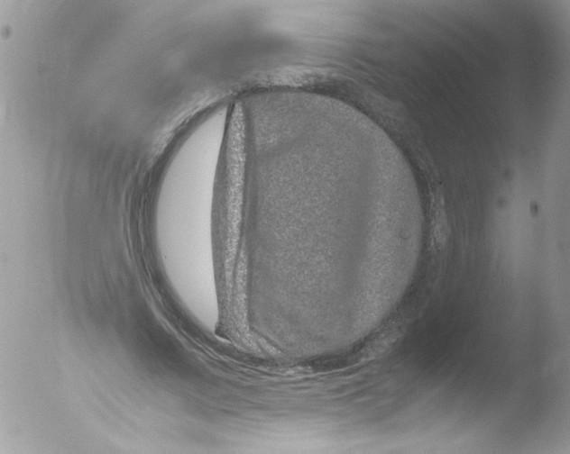 X0000051880683200507151913