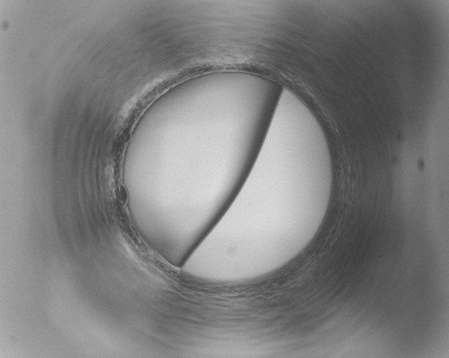 X0000051880684200507151913