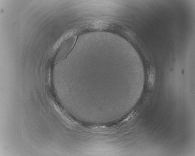 X0000051880685200507151913