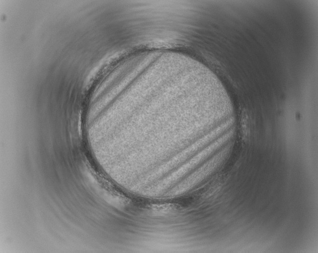 X0000051880686200507151913