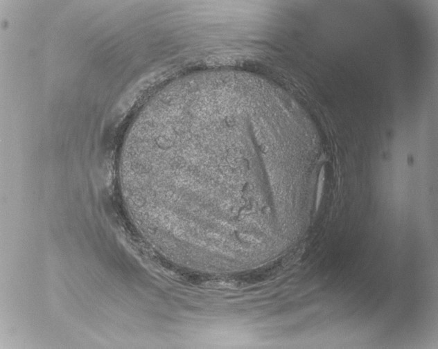 X0000051880687200507151913