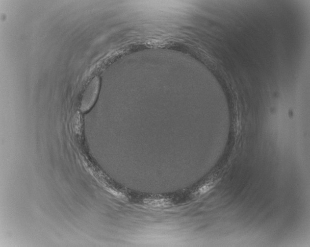 X0000051880689200507151913