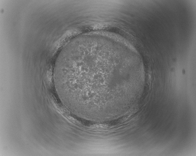 X0000051880691200507151913