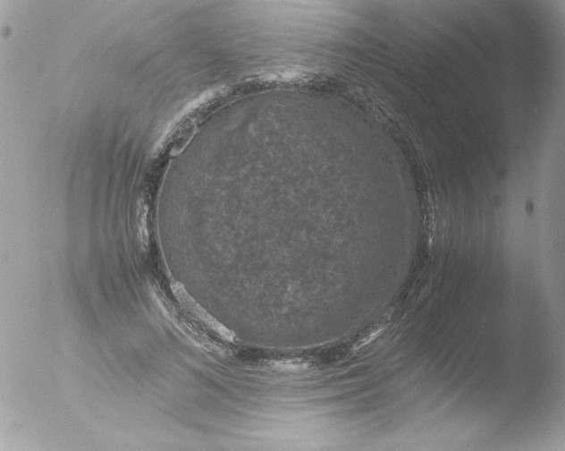 X0000051880692200507151913