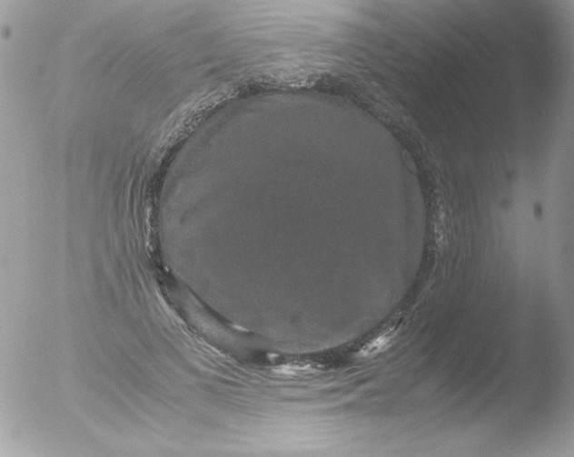 X0000051880693200507151913