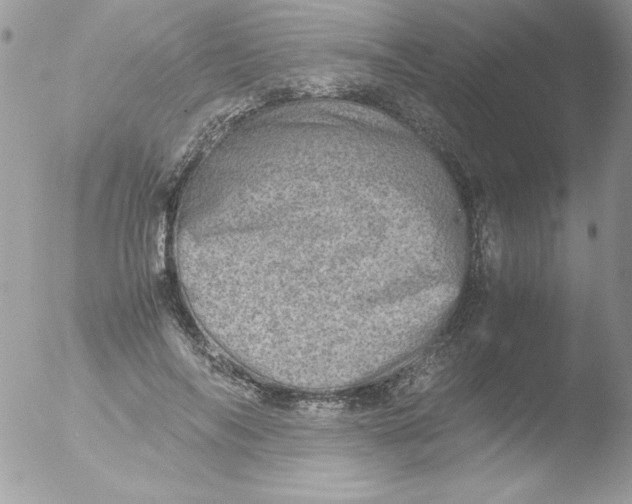 X0000051880694200507151913