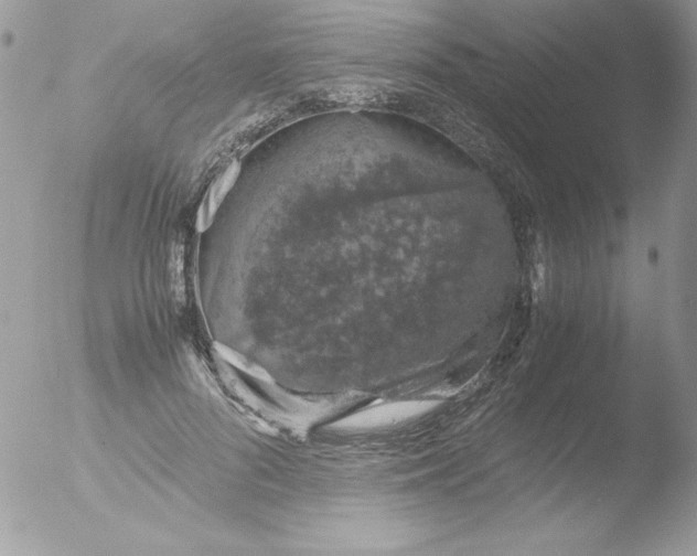 X0000051880696200507151913