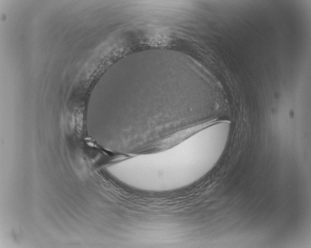 X0000051880697200507151913