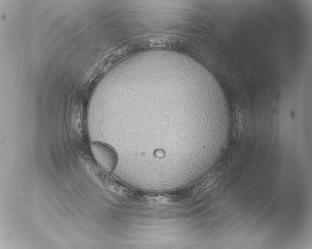 X0000051880698200507151913