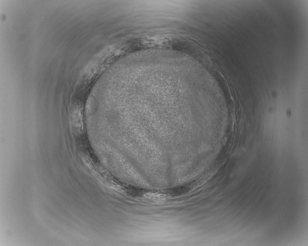 X0000051880699200507151913