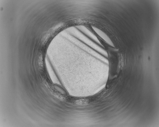 X0000051880700200507151913