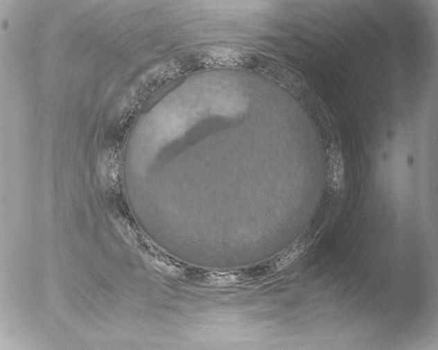 X0000051880701200507151913