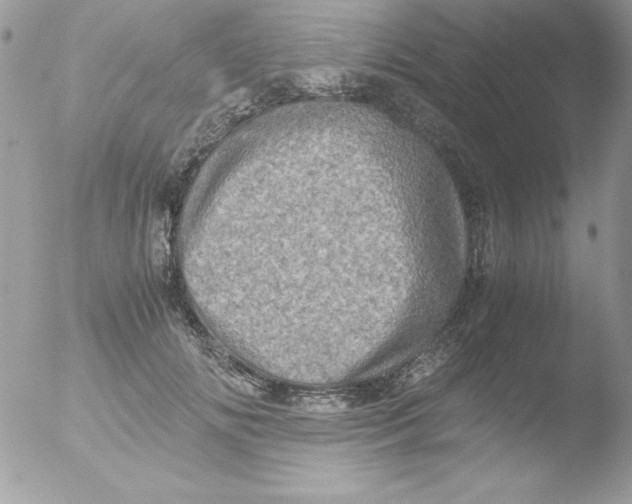 X0000051880702200507151913