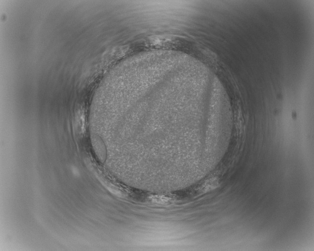 X0000051880703200507151913