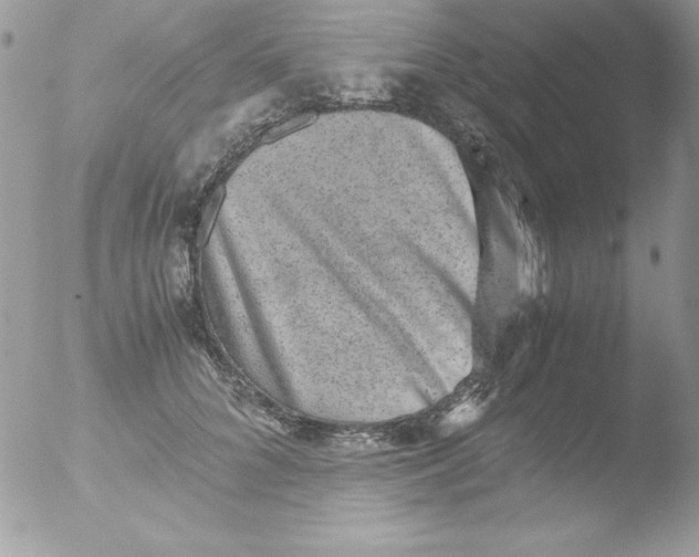 X0000051880704200507151912