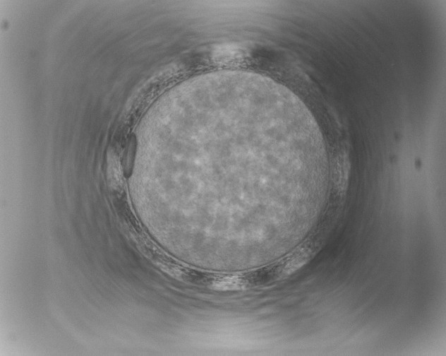 X0000051880705200507151912