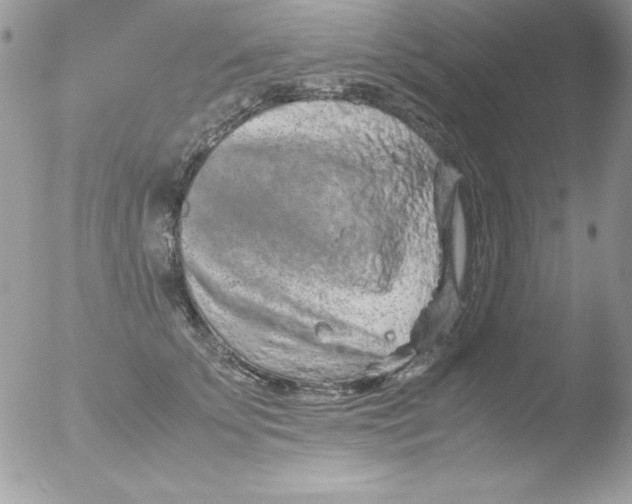 X0000051880707200507151912