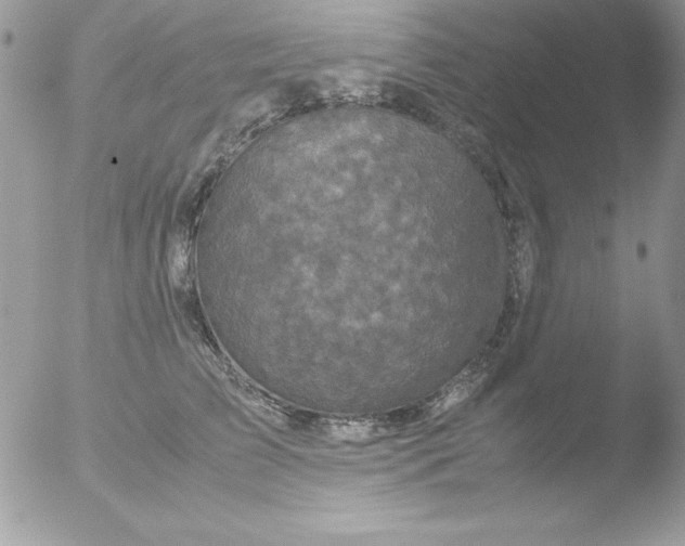 X0000051880709200507151912